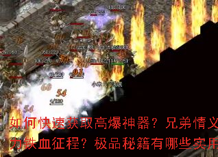 ��ο��ٻ�ȡ�߱��������ֵ��������������Ѫ���̣���Ʒ�ؼ�����Щʵ�ü��ɣ�