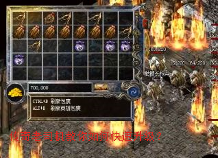 ������˾��������ο���������