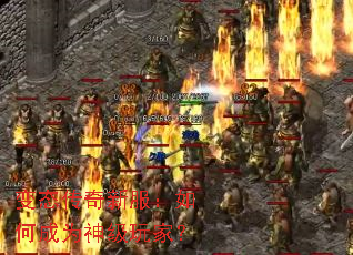 ��̬�����·�����γ�Ϊ����ң�