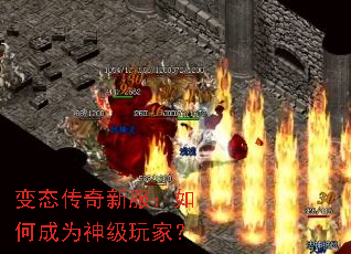 ��̬�����·�����γ�Ϊ����ң�