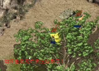 ��λ���������ʹ��ѫ�£�