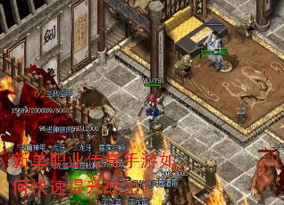 �µ�ְҵ����������ο�������ս����