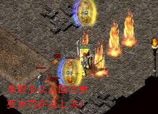 ��ְҵ��װ������Ҫ������������