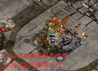 ��ο������ճ��䴫���·��и�߱��漼�ɣ�