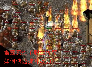 ����Ӣ�۵�ְҵ������ο�������ս����