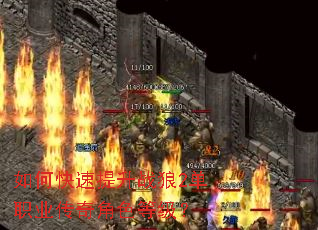 ��ο�������ս��2��ְҵ�����ɫ�ȼ���