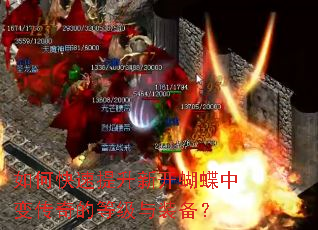 如何快速提升新开蝴蝶中变传奇的等级与装备? 如何快速提升新开蝴蝶中变传奇的等级与装备?