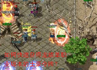 如何快速获得龙族单职业版本的土豪令牌? 如何快速获得龙族单职业版本的土豪令牌?