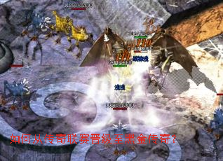 如何从传奇联赛晋级至黑金传奇? 如何从传奇联赛晋级至黑金传奇?