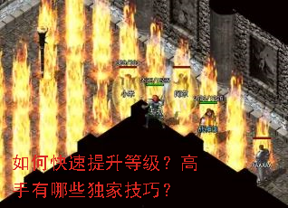 如何快速提升等级?高手有哪些独家技巧? 如何快速提升等级?高手有哪些独家技巧?
