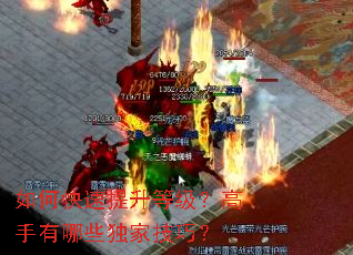 如何快速提升等级?高手有哪些独家技巧? 如何快速提升等级?高手有哪些独家技巧?