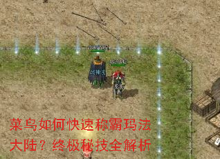 菜鸟如何快速称霸玛法大陆?终极秘技全解析 菜鸟如何快速称霸玛法大陆?终极秘技全解析