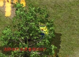 ��ʦ��ο��ٻ���BOSS��