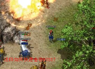 ��ʦ��ο��ٻ���BOSS��