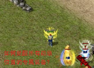 ��ξ�������ѫ��λ�õ�ר��װ����