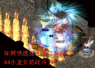 ��ο��������ڶ���6244С��Ů��ս������