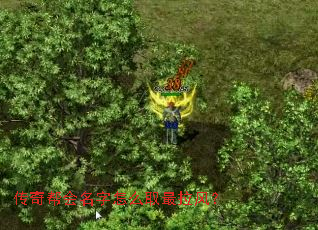 ������������ôȡ�����磿