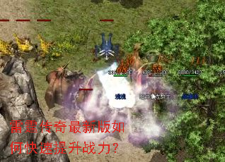 �����������°���ο�������ս����