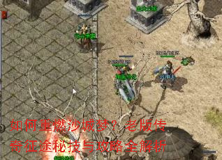 �����ȼɳ���Σ��ϰ洫����;�ؼ��빥��ȫ����