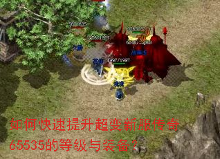 ��ο������������·�����65535�ĵȼ���װ����