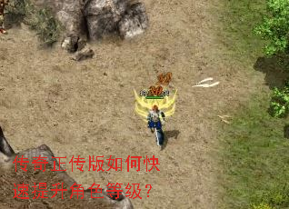 ������������ο���������ɫ�ȼ���