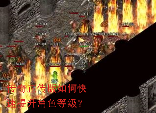 ������������ο���������ɫ�ȼ���