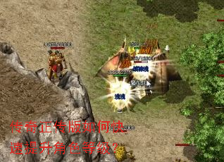 ������������ο���������ɫ�ȼ���