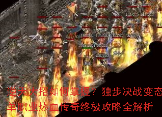 �������������գ�������ս��̬��ְҵ��Ѫ�����ռ�����ȫ����