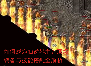 ��γ�Ϊ�������������װ���뼼�ܴ���ȫ����