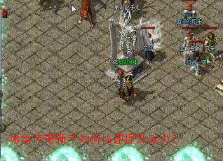 ��ѩ����������ο�������ս����