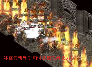 ��ѩ����������ο�������ս����