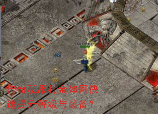 ����˽�������ο��������ȼ���װ����