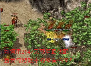 �����2147ԪԤ���������ô�����Ϸ�е������λ��