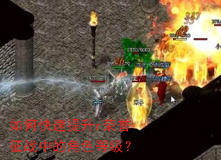 ��ο�������r������ս�еĽ�ɫ�ȼ���