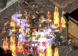 ��ο�������r������ս�еĽ�ɫ�ȼ���