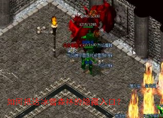 ��εִ��ѩɭ�ֵ�������ڣ�