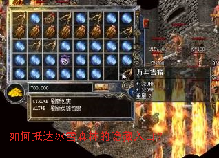 ��εִ��ѩɭ�ֵ�������ڣ�