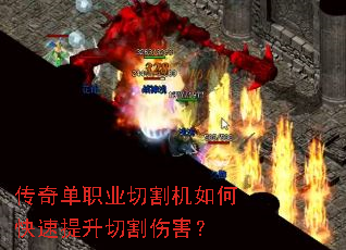 ���浥ְҵ�и����ο��������и��˺���