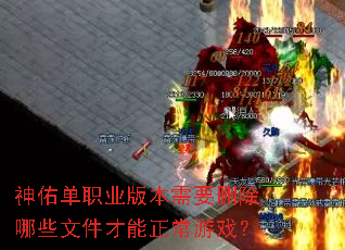 ���ӵ�ְҵ�汾��Ҫɾ����Щ�ļ�����������Ϸ��