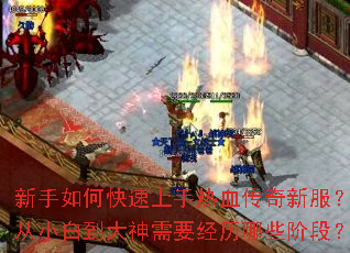 ������ο���������Ѫ�����·�����С�׵�������Ҫ������Щ�׶Σ�