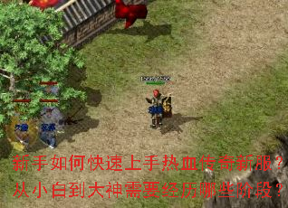 ������ο���������Ѫ�����·�����С�׵�������Ҫ������Щ�׶Σ�