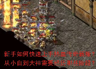 ������ο���������Ѫ�����·�����С�׵�������Ҫ������Щ�׶Σ�