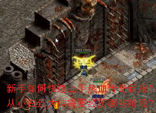 ������ο���������Ѫ�����·�����С�׵�������Ҫ������Щ�׶Σ�