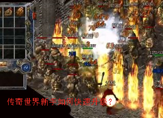 ��������������ο���������