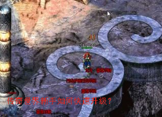 ��������������ο���������