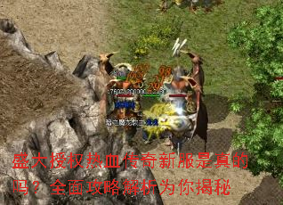 ʢ����Ȩ��Ѫ�����·��������ȫ�湥�Խ���Ϊ�����