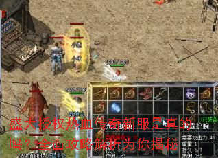 ʢ����Ȩ��Ѫ�����·��������ȫ�湥�Խ���Ϊ�����