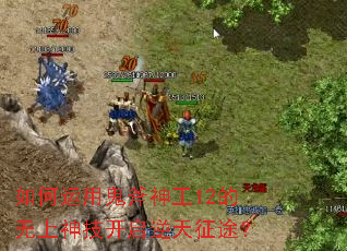 如何运用鬼斧神工12的无上神技开启逆天征途? 如何运用鬼斧神工12的无上神技开启逆天征途?