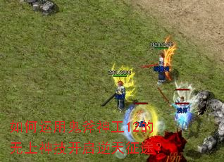 如何运用鬼斧神工12的无上神技开启逆天征途? 如何运用鬼斧神工12的无上神技开启逆天征途?