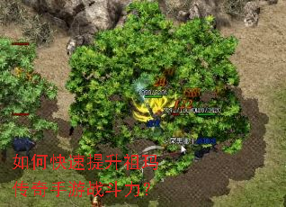 如何快速提升祖玛传奇手游战斗力? 如何快速提升祖玛传奇手游战斗力?